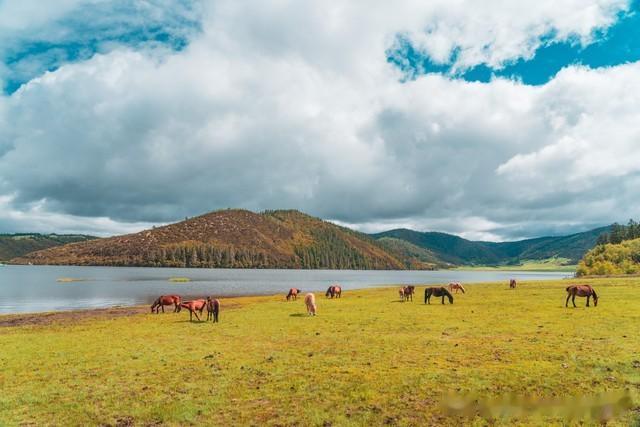 面对恐惧和焦虑，何不“亲吻”它