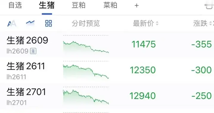 生猪期货刚抬头就挨“闷棍”！暴跌215点，反弹终结还是黄金坑？