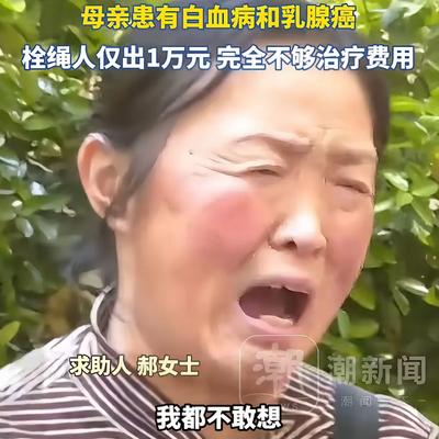 田鸡645：太揪心了！4月11日，河南焦