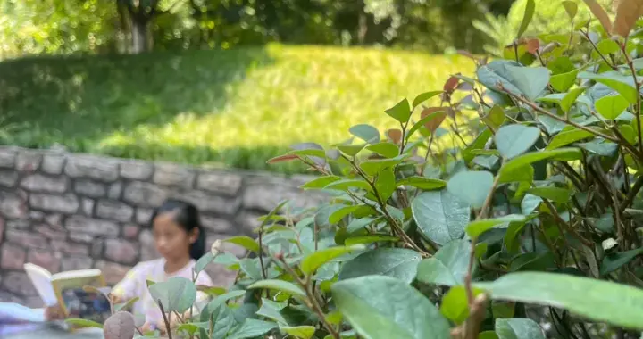 从非洲找回的视力：我用5个小方法，帮100度近视的女儿稳住视力