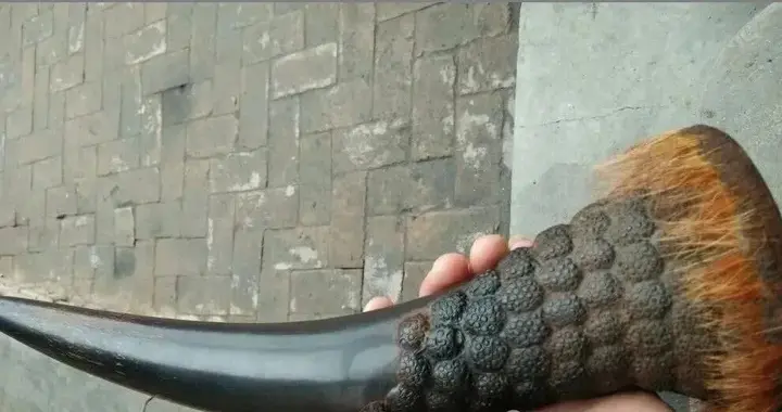 冒死聊聊古玩城老犀角新造假工艺