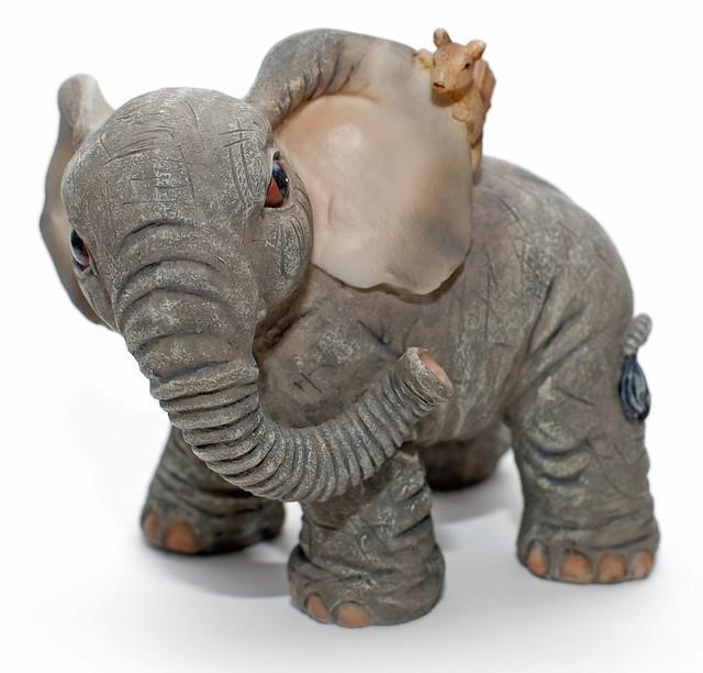 关于蛋白质和大象的长篇答复