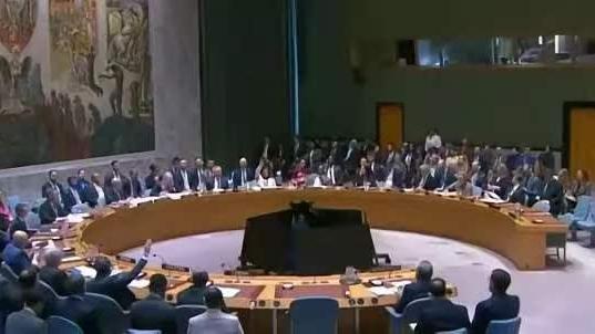 愉悦的书写吧：11国赞成又如何？中国一票