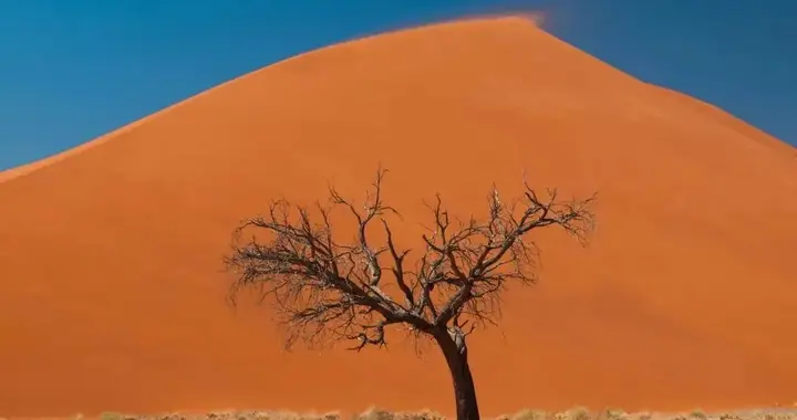 如果去非洲四国（津赞博纳）18日，建议您可以这样玩儿