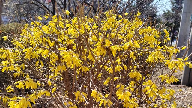 生命是一场丰盈的告白：春天肝火旺盛，脾气