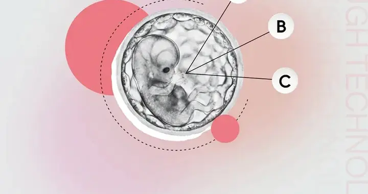 解读胚胎评分技术：革新技术进步和伦理争议丨2026年十大突破性技术