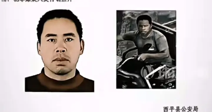 我为什么奉劝西平夏付钢投案自首