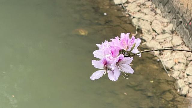 八月文山：有没有人和我一样，总想多搞点钱