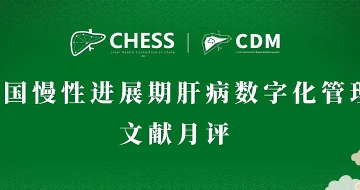 CDM月评（25年11月·第九十九期）