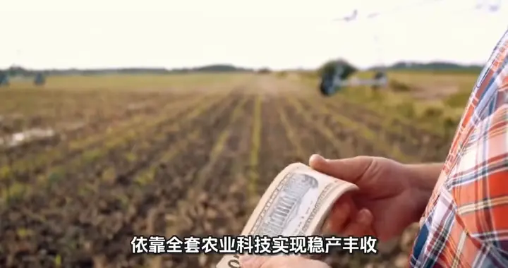 2026 年小麦丰收后的科技密码
