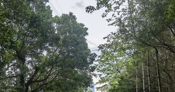 能跑不等于会跑，能跑可能受伤更快，会跑才能无伤到老