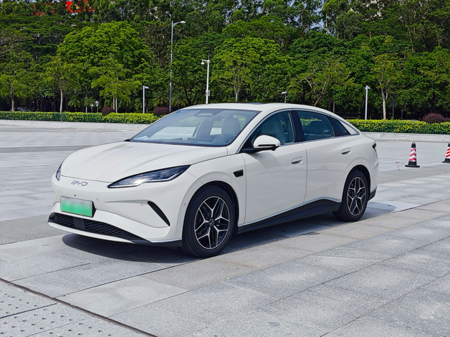 真实海豹 06EV 车主：成本够低，小毛病却瑕不掩瑜