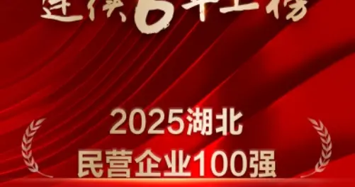 2025湖北民营企业100强名单公布 泰康在线连续第六年强势登榜