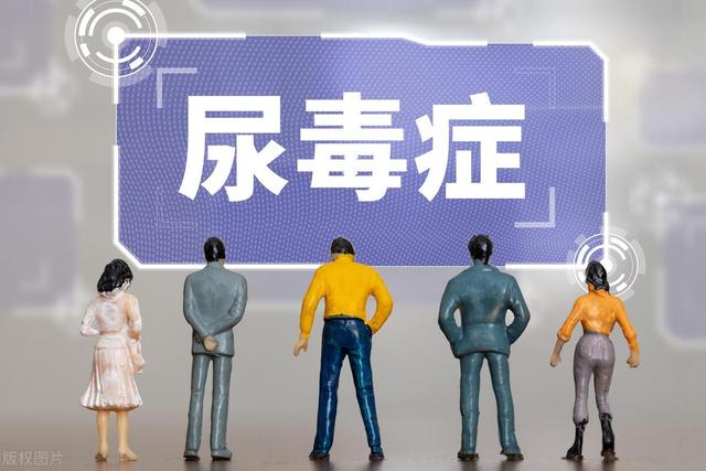 肾炎会转化为尿毒症吗