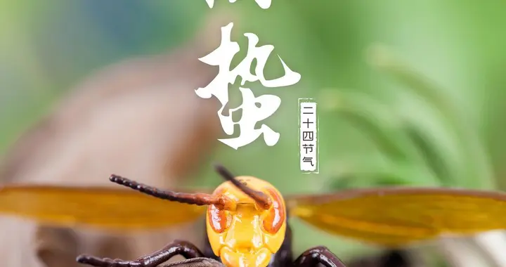 惊蛰必做5点防护，心脑血管更安稳（干货收藏）