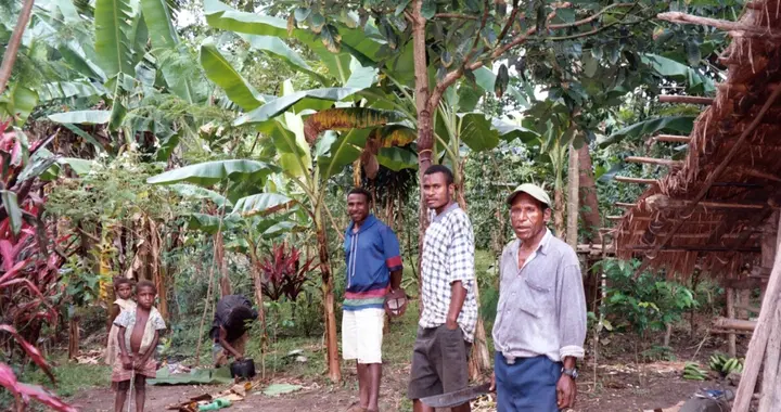 气候变化最狠的地方，不是一场台风，而是把边缘人一点点磨没