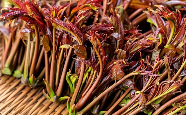 四月抓紧吃这2种“护肝菜”！清肝毒、修复快，现在正鲜嫩！