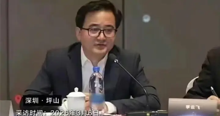 比亚迪李云飞 怎么看闪充和换电？