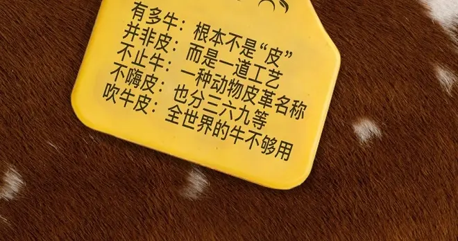 都用纳帕皮，全球牛都不够用｜汽势策划