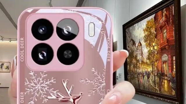 张家口随风：昨天媳妇把用了一年的手机套扔