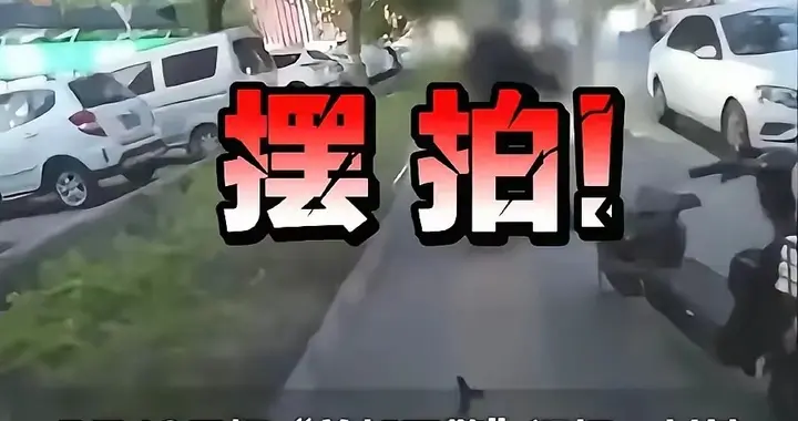 “抱抱盲兔”流量闹剧，不该让整个盲人群体与交管公信力买单