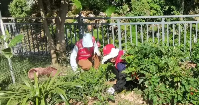 汗水浇灌 志愿护绿