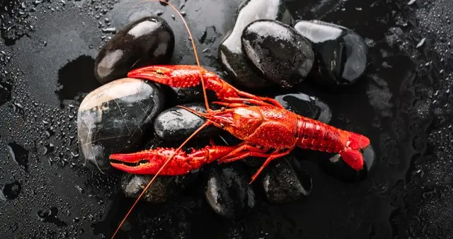 狂想曲｜“小龙虾”这样清洗文旅行业