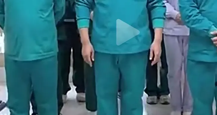 坚决反对为任何宠物立法