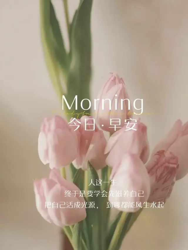 ²⁰²⁵/₀₅.₁₅周四愉快!朋友圈文案这样发，开启正能量的一天~