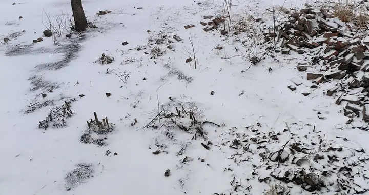 陈光标向李亚鹏公开喊话打款：当慈善必须“表演”，谁该感到羞愧