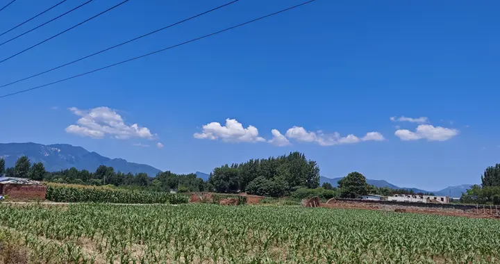 河南乡下的夏天，干净得不像话