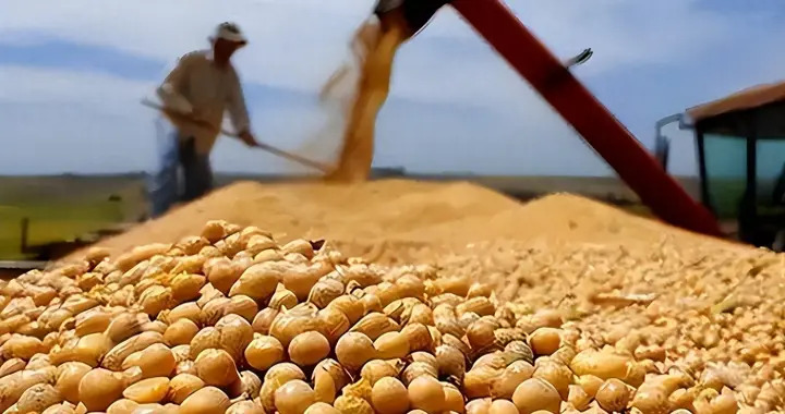 贪心砸了饭碗？巴西硬抬价，中国 130 万吨大豆订单瞬间流向阿根廷