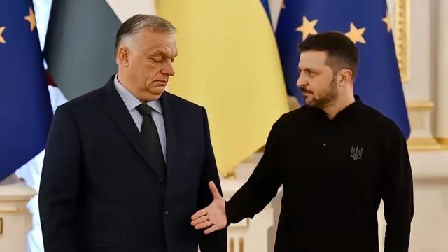 MayHo美好：欧尔班刚打电话认输没多久