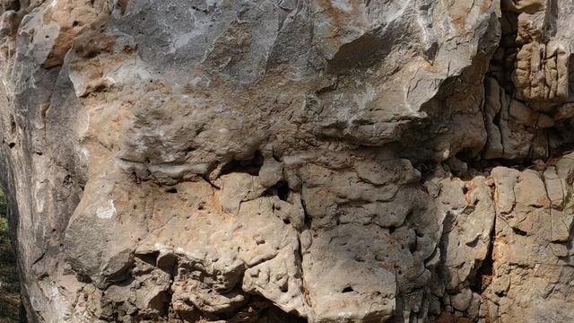 儒雅旭日东山：日本能闹多大个事？闹不了多