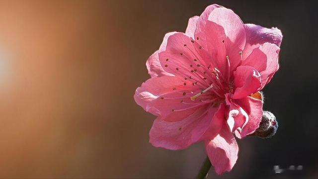 愿你家孩子智慧大开，身体健康，接就灵