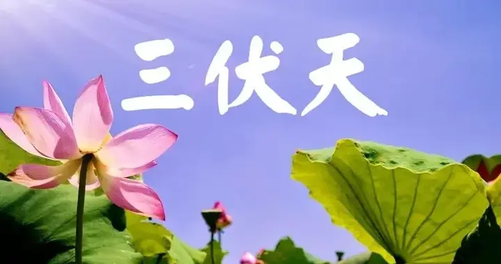 加长版三伏天要来了！今年三伏天是热是冷？看农谚咋说的