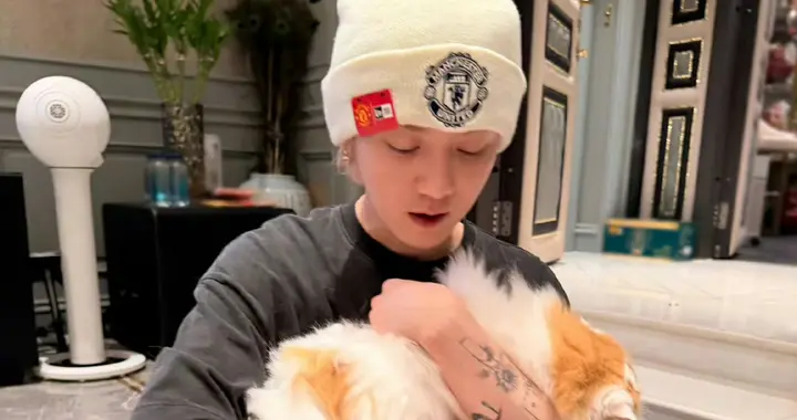 鹿晗“馒头风波”：萌宠引发的欢乐“吃瓜”盛宴