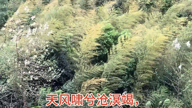 周公吐哺，天下归心。