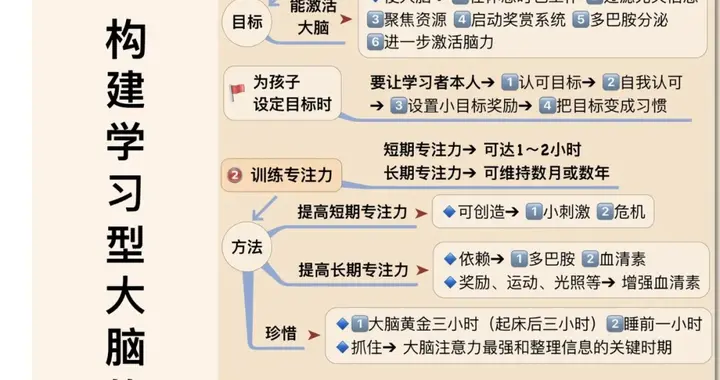 《大脑喜欢这样学》五步高效学习法，升级大脑，效率蹭蹭涨