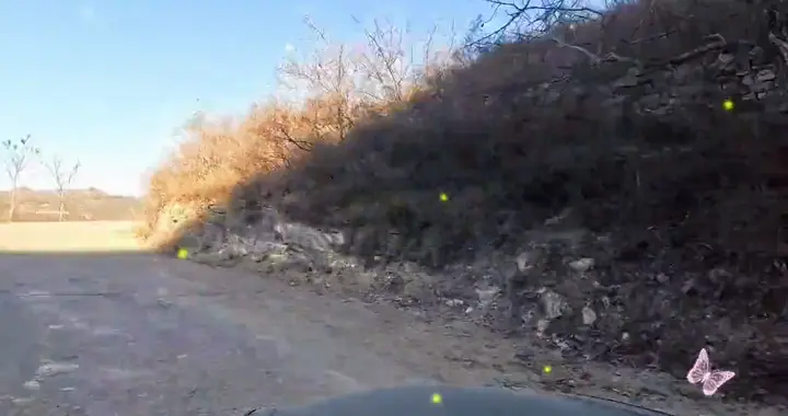 从临朐城西的桃花村经过槐树岭去傅家峪，山路曲折