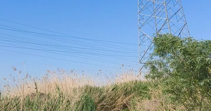 oracle数据库基础知识