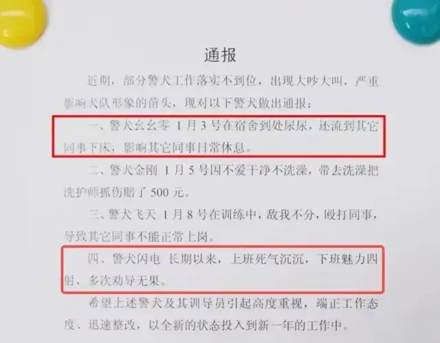 楚雄的四只警犬被通报上了热搜！评论区：只要上班，连狗都不开心