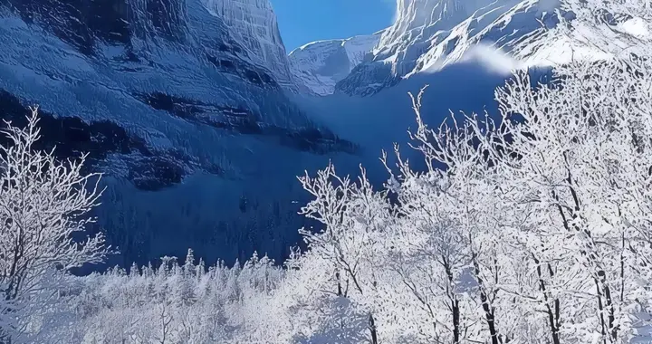 古韵散文‖雪韵烟火赋