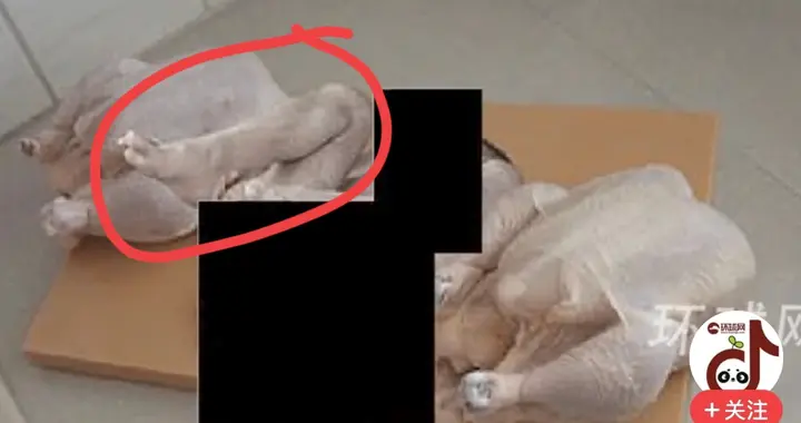 爱泼斯坦“鸡腿人”照片刷屏：假图背后，是美国富豪圈的信任崩塌