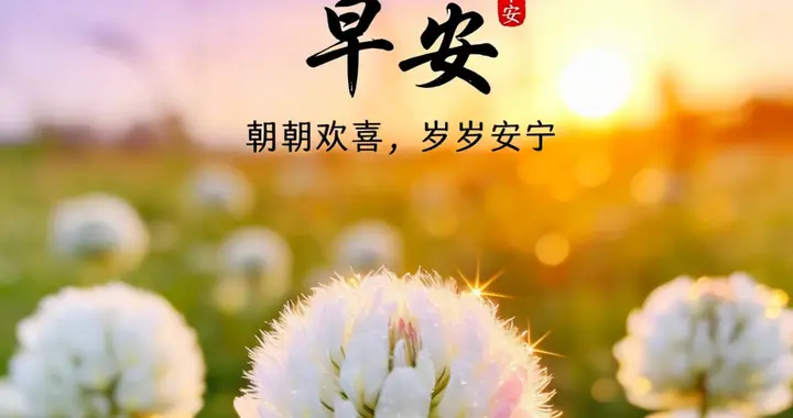 早安！春风有信，花开有期；心随花开，好运自来