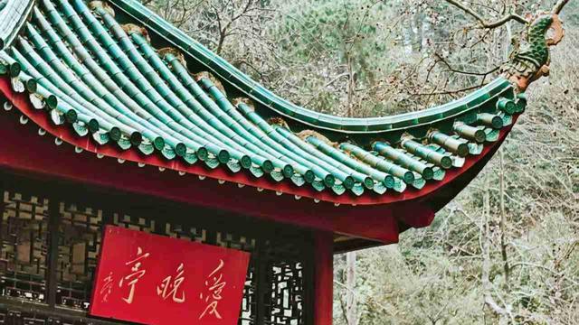 清爽橙子tX：我的