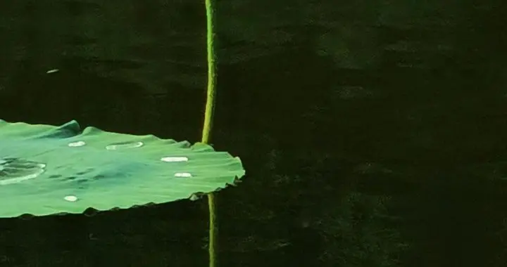 很多不幸的家庭里，都有个越位的老人