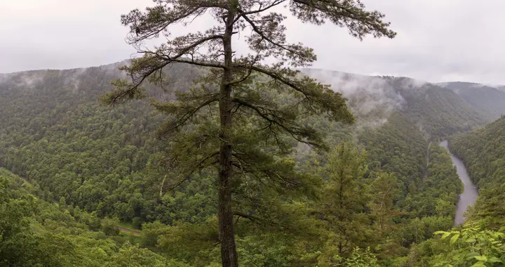 美国游之宾州大峡谷