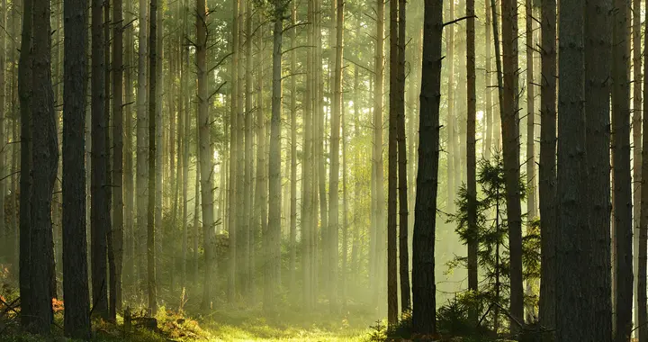 公司走下坡路，是从乱招人开始的