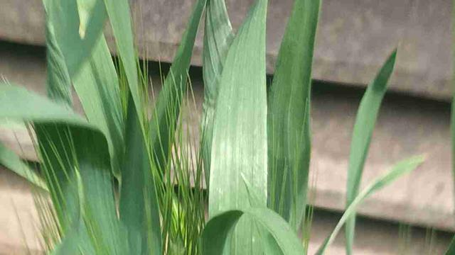 全国小时达（配送专场）